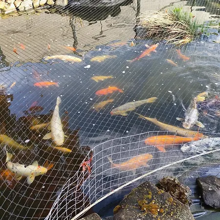 بيت للعطل Maison Therese 2-4 Personnes Roeschwoog