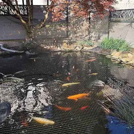 Hébergement de vacances Maison Thérèse 2-4 Personnes